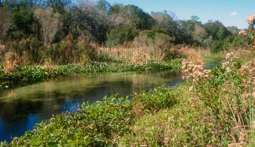 Rock Springs Run Wildlife Management Area, Florida, USA